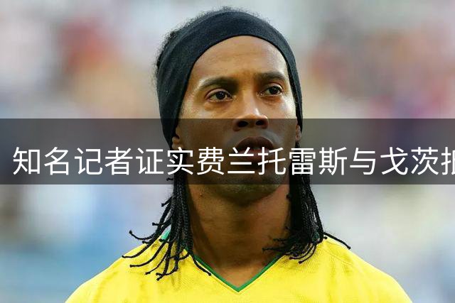 知名记者证实费兰托雷斯与戈茨抵达巴黎将接受体检